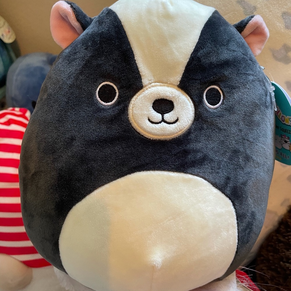 Skyler the Skunk Squishmallow NWT